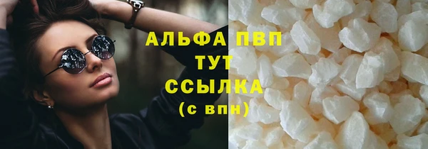 прущие грибы Вяземский